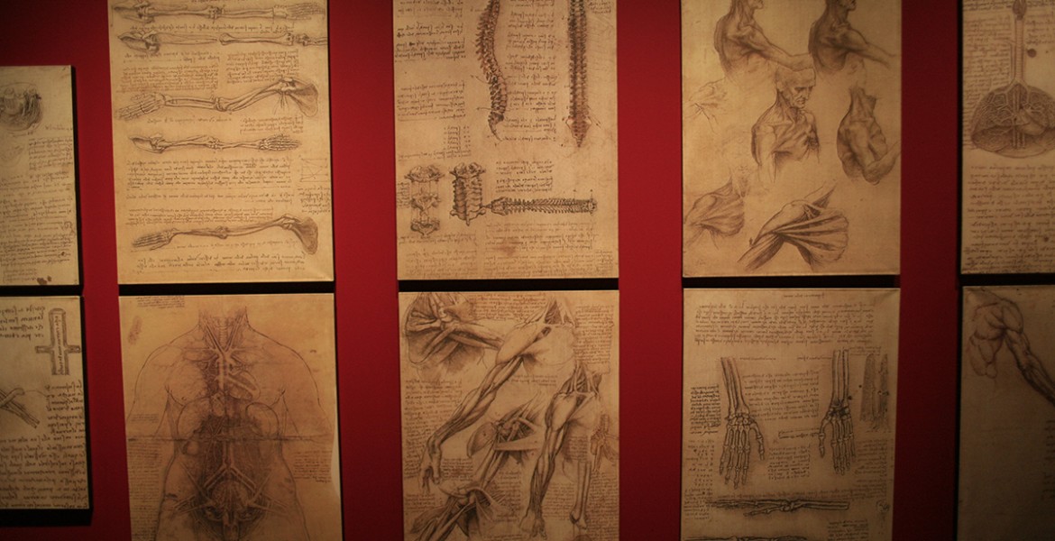 LEONARDO DA VINCI 500 YEARS OF GENIUS