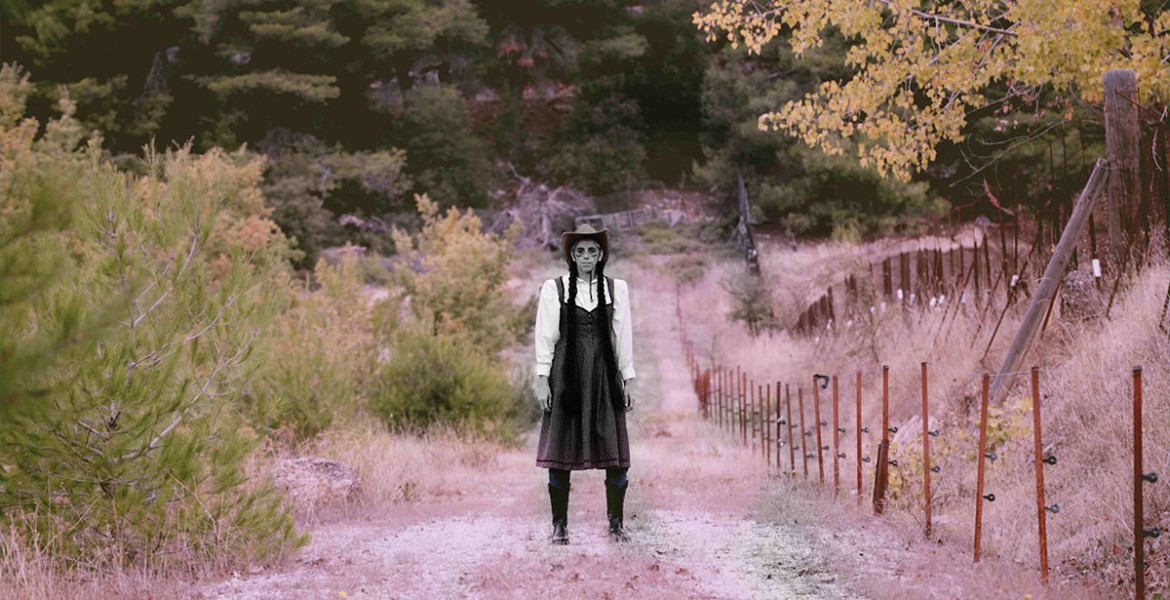 Νοχαβελάνδη