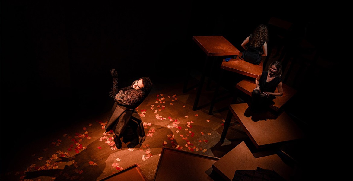 Ζαν Ζενέ | Οι Δούλες