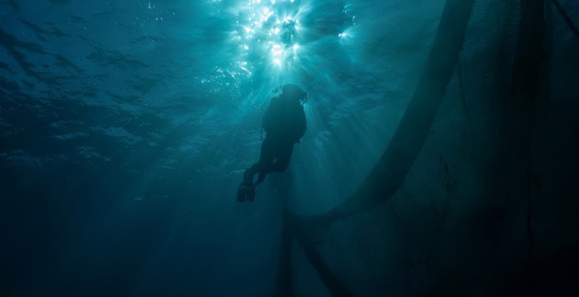 Athens Photo World 2026