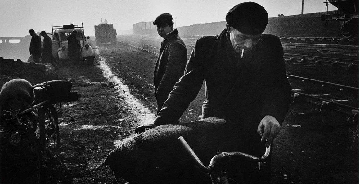 Life, Death and Everything in Between