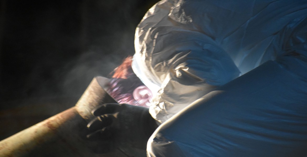 Η αλεπού θα ξανάρθει 