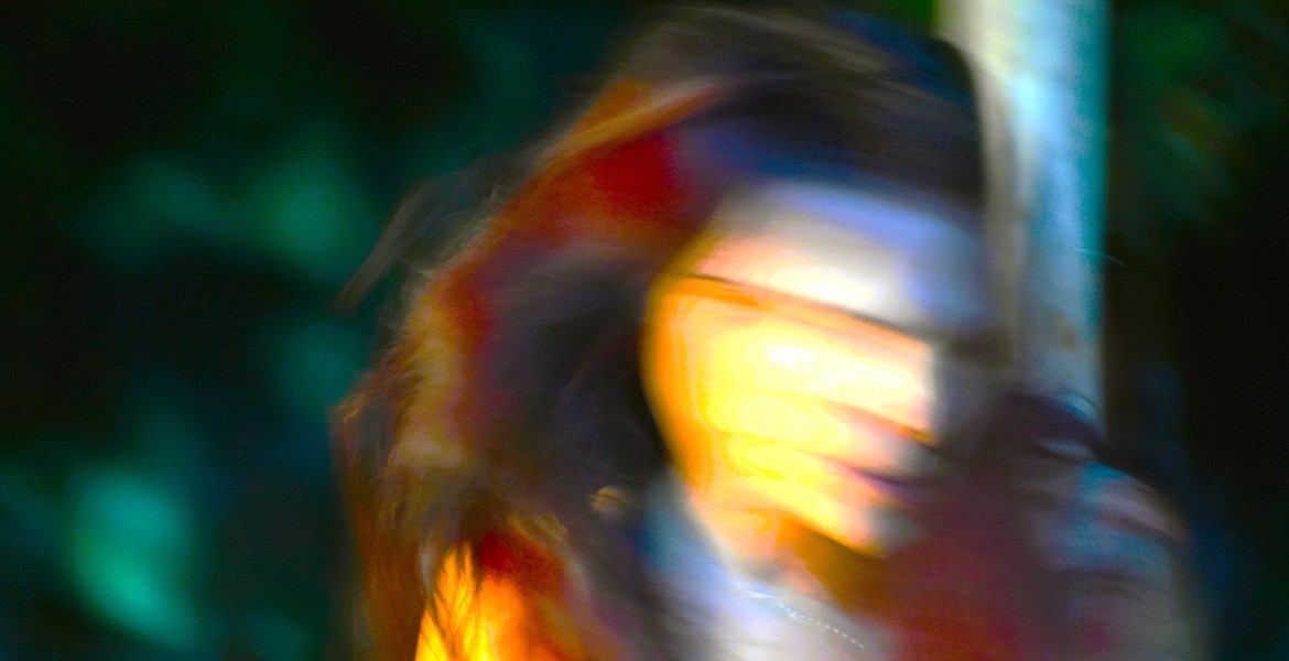 Η αλεπού θα ξανάρθει 