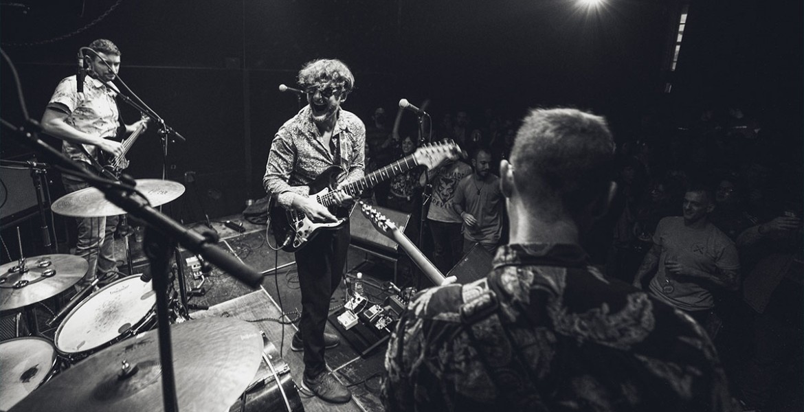 The Black Tabasco | Animal Love