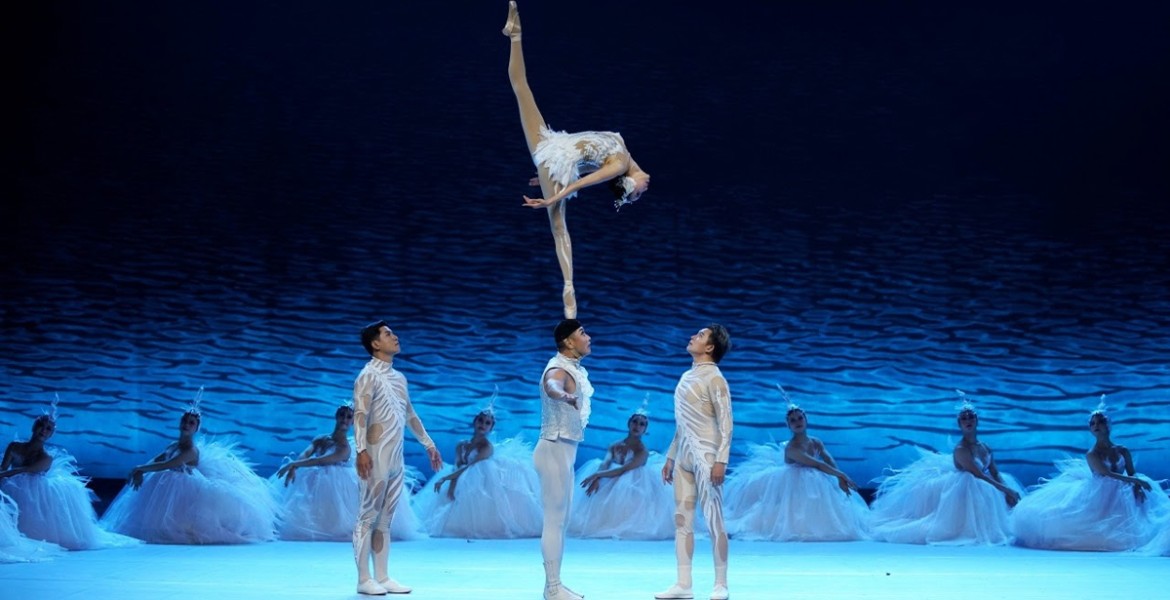 Swan